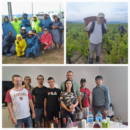 Campagne Vendanges 2022 :