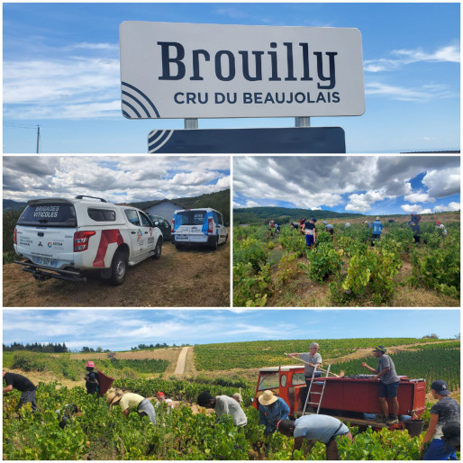 Les BRIGADES VITICOLES à St Étienne de Varenne :