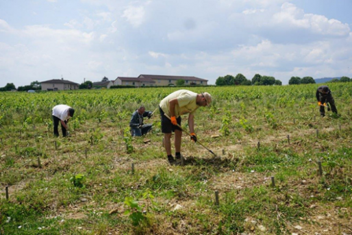 Article de presse du PROGRES