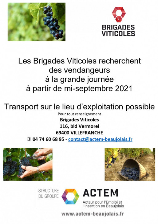 VENDANGES BEAUJOLAIS 2021